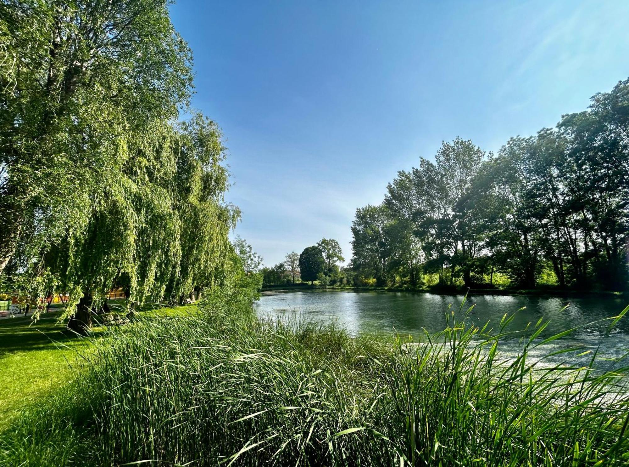 Les Cabanes Du Lac Vandré Exteriör bild